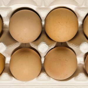 14 Silver Laced Wyandotte Hatching Eggs